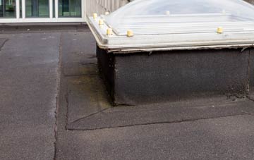 disadvantages of Swinside flat roofs