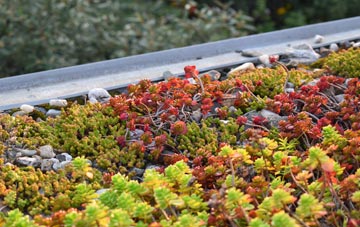 the cost of Swinside green roof installation