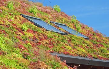 Swinside living roof systems