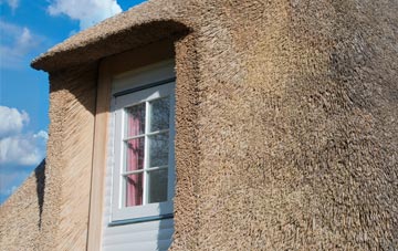 Swinside thatch roof disadvantages