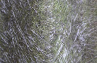 Swinside fibreglass roof work